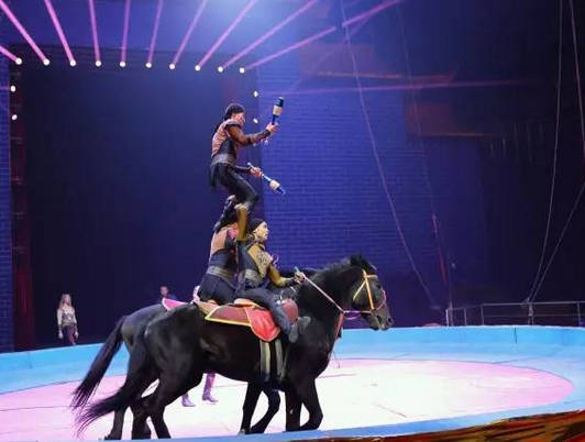 河北馬戲表演哪家好