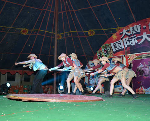 河北馬戲表演價格