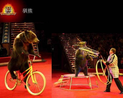 湖北廟會演出價格 湖北廟會演出價格