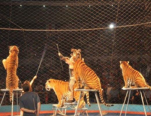 湖北廟會演出哪家好 湖北廟會演出哪家好