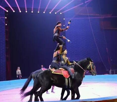 河南馬戲表演哪家好 河南馬戲表演哪家好