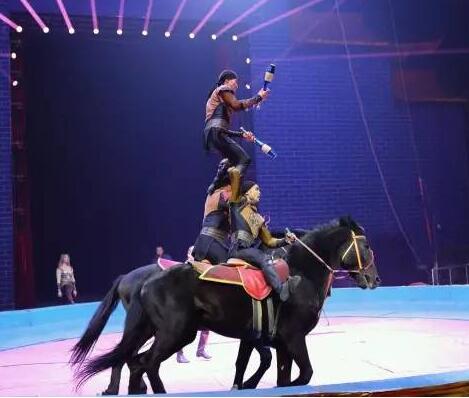 你知道馬戲雜技表演都有哪些節目么？